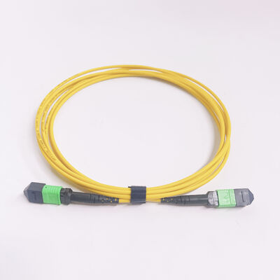 12F G657A1 3.0mm MPO MTP Patch Cord Single Mode MPO Fiber Trunk Cable Type B for Data Center