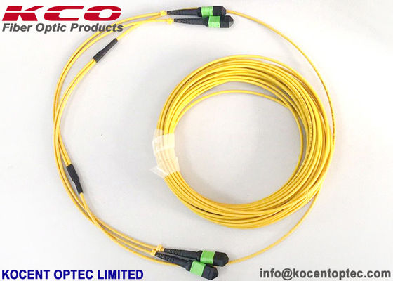 MPO APC 24fo 48cores G657A1 Elite Einsetzverlust MTP Glasfaser-Platch-Kabel
